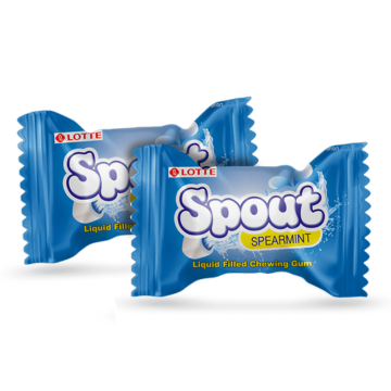 Spout